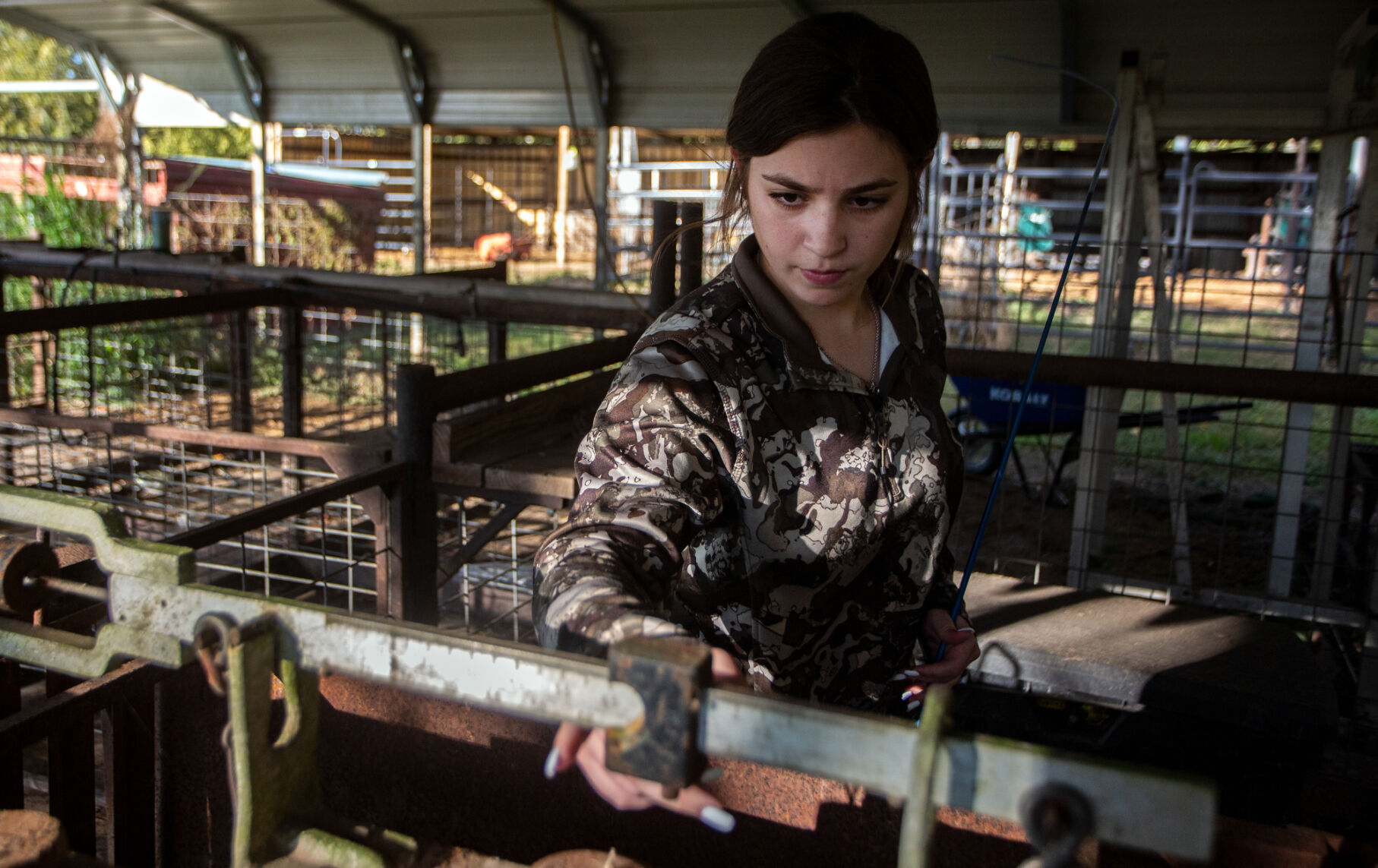 VISD Agriculture Barn